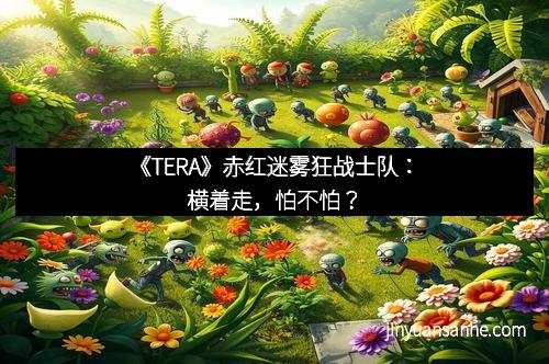 《TERA》赤红迷雾狂战士队：横着走，怕不怕？